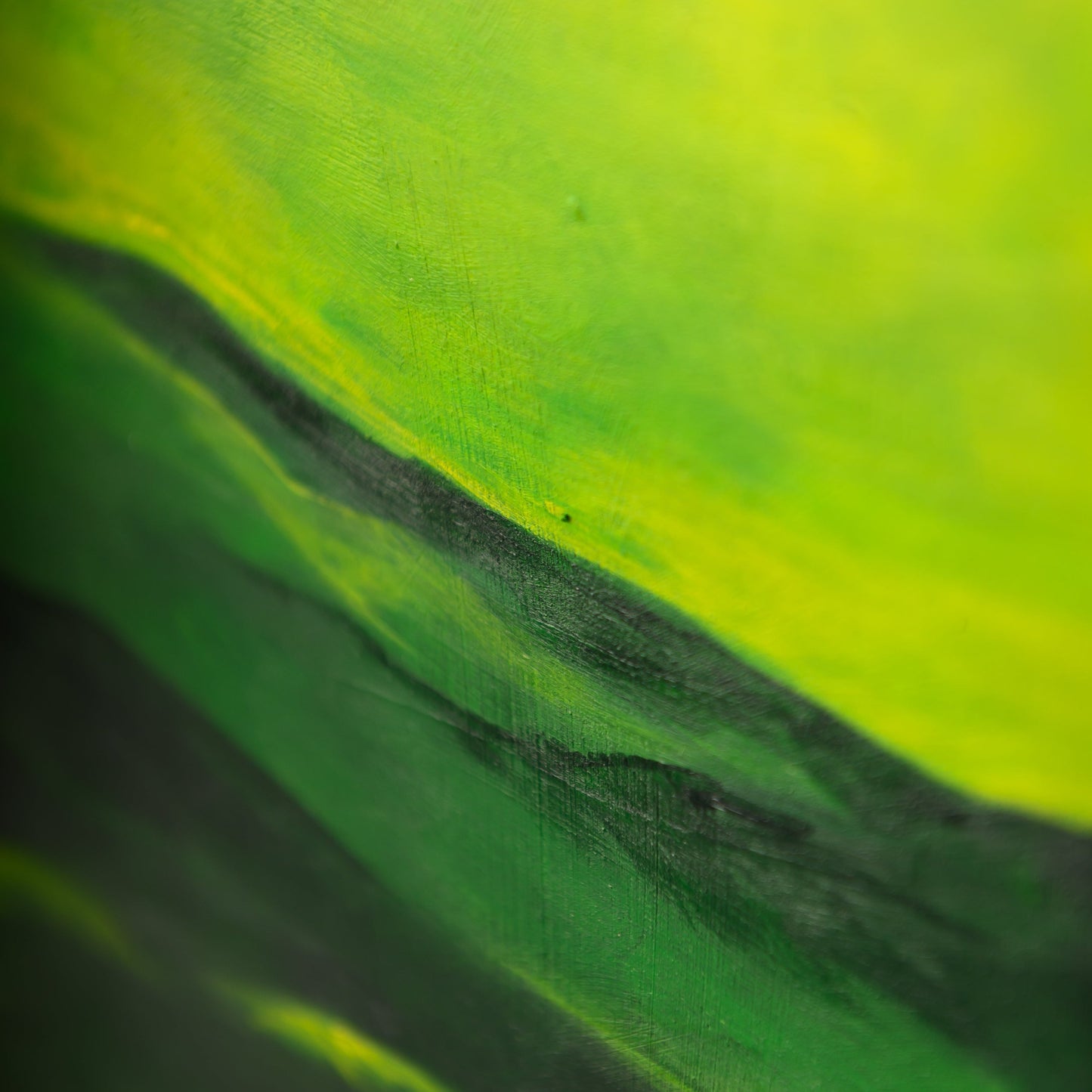 Specail details and green painting